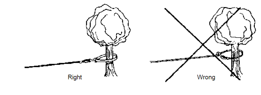 Verwendung eines Baumankergurtes Das Seil einer Winde richtig am Baum befestigen
