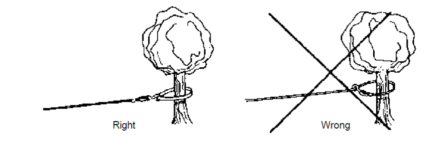 Das Seil einer Winde richtig am Baum befestigen